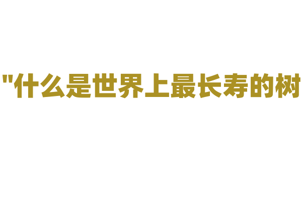 "什么是世界上最长寿的树？"